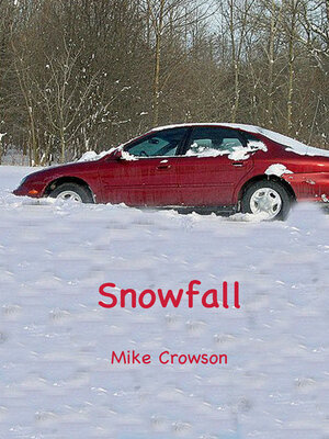cover image of Snowfall